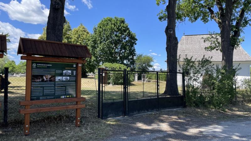 A tölgyfák zöld lombokkal ölelték körbe az evangélikus templomot, amely csendes nyugalommal állt a természet szívében. A fák hűvös árnyékot adtak, miközben a templom tornya büszkén meredett az ég felé, mintha a hit és a természet harmóniáját hirdetné.
