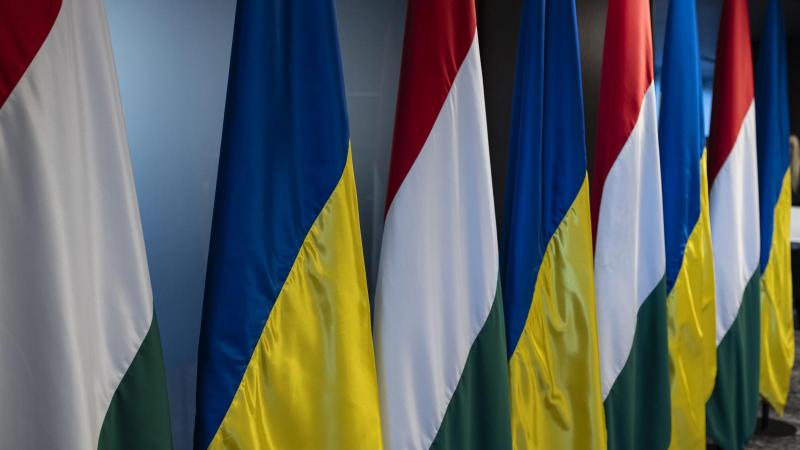 A kárpátaljai magyar közösség körében a válaszadók 83%-a kiáll Ukrajna uniós tagságának támogatása mellett.