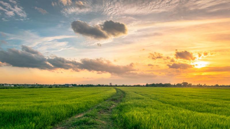 Jelentős áttörés: számos gazda életét forradalmasíthatja a legújabb fejlesztés – Agrárszektor
